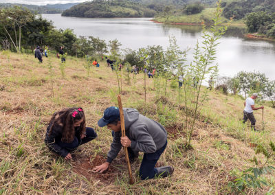 Aluna do Ensino Fundamental de Nazaré Paulista participa de plantio que envolveu funcionários de empresas da região beneficiada pela água do Sistema Cantareira. O reservatório ao fundo é o Atibainha, um dos cinco que formam o Sistema Cantareira - Crédito: Ilana Bar / Estúdio Garagem
