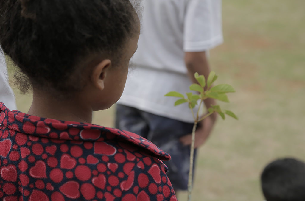 Projeto lança Aventura Socioambiental sobre Serviços Ecossistêmicos