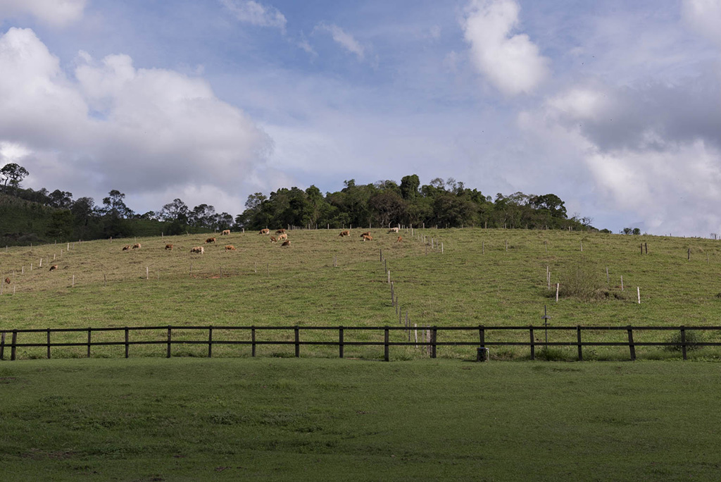 Manejo da Pastagem Ecológica