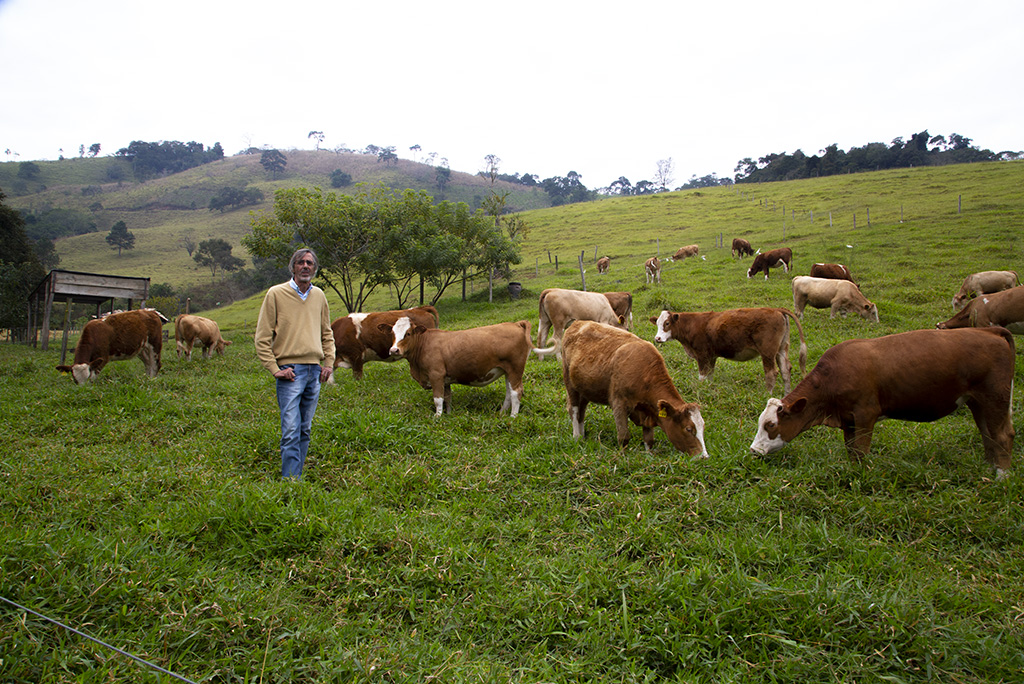 Resultado do Manejo de Pastagem Ecológica, em Piracaia (SP)