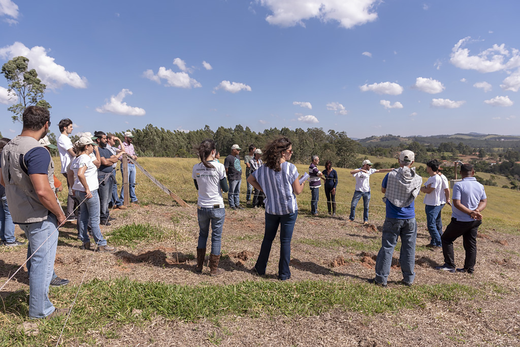 Produtores rurais visitam área recém-implementada com silvicultura de nativas, em Bragança Paulista (SP)