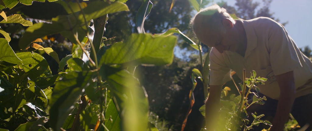 Produtor rural de Nazaré Paulista (SP) cuida de sua agrofloresta