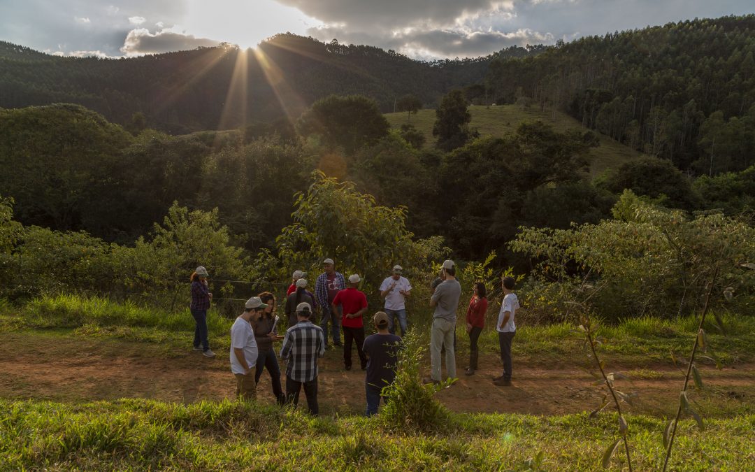 Vaga de estágio nas áreas de produção rural sustentável, restauração florestal e manejo ecológico de pastagem no projeto “Semeando Água”