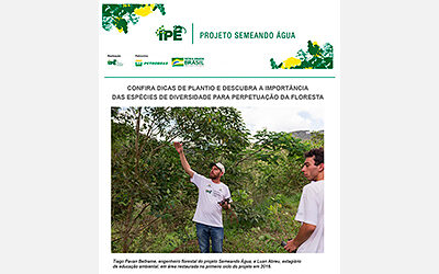 Boletim Técnico – Restauração