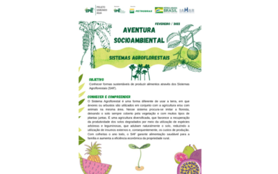 Aventura Socioambiental – SAF