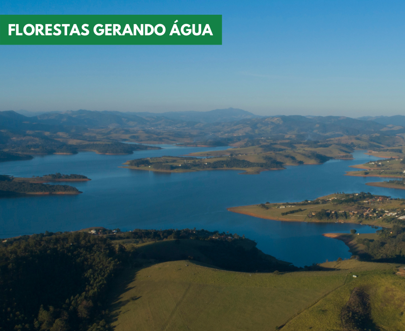 Vamos falar de Restauração Florestal?