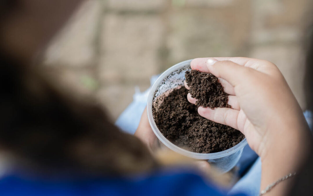 Compostagem reduz emissões e produz adubo