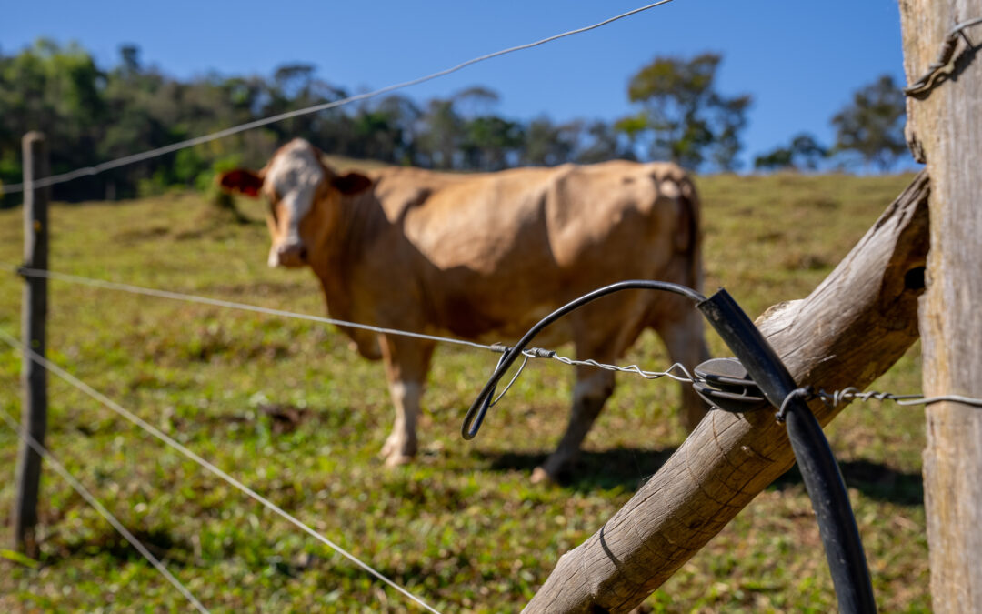 Que Clima é Esse? Estratégias de Desenvolvimento Social, Ambiental e Econômico no Sistema Cantareira