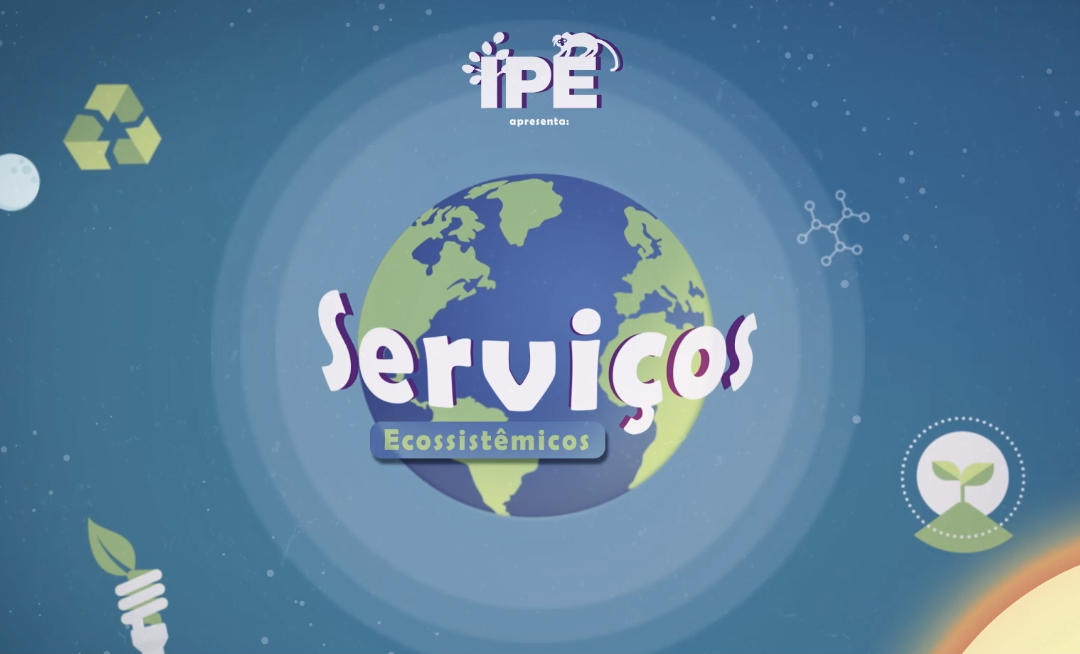 Semeando Água lança a série de vídeos: Serviços Ecossistêmicos