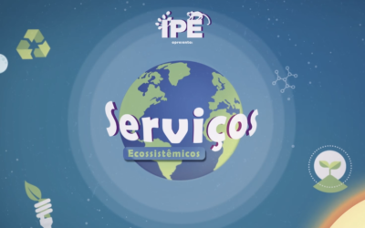 Semeando Água lança a série de vídeos: Serviços Ecossistêmicos