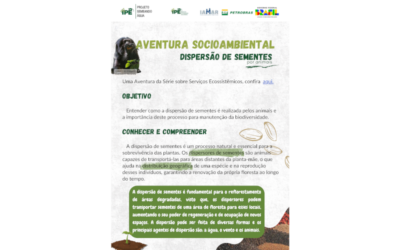 Aventura socioambiental: Dispersão de Sementes
