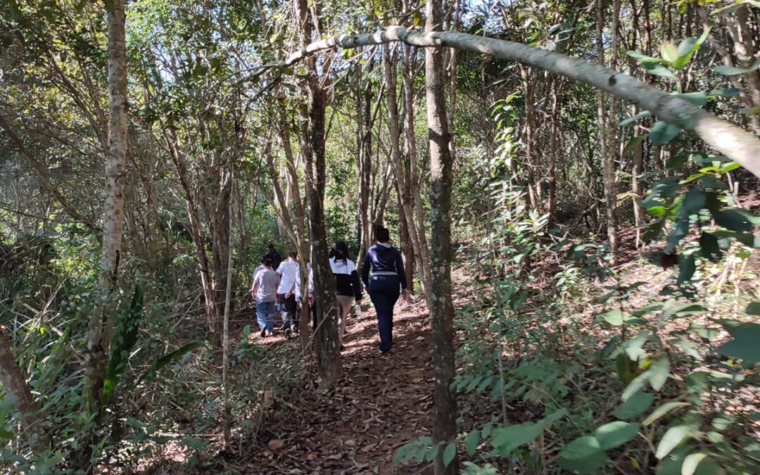 Semana do Meio Ambiente nas Escolas Climáticas